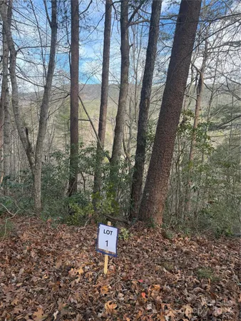a picture of trees