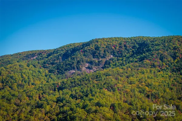 a view of a large building with a mountain in the background