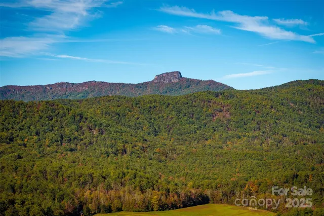 a view of a mountain range with lush green forest