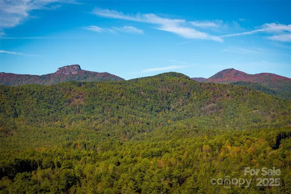 a view of a lush green field with a mountain in the background