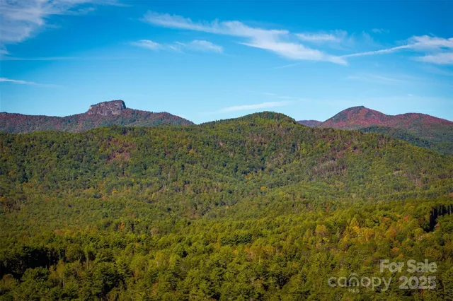 a view of a lush green field with a mountain in the background