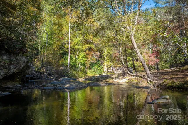 a big yard with lots of green space and trees