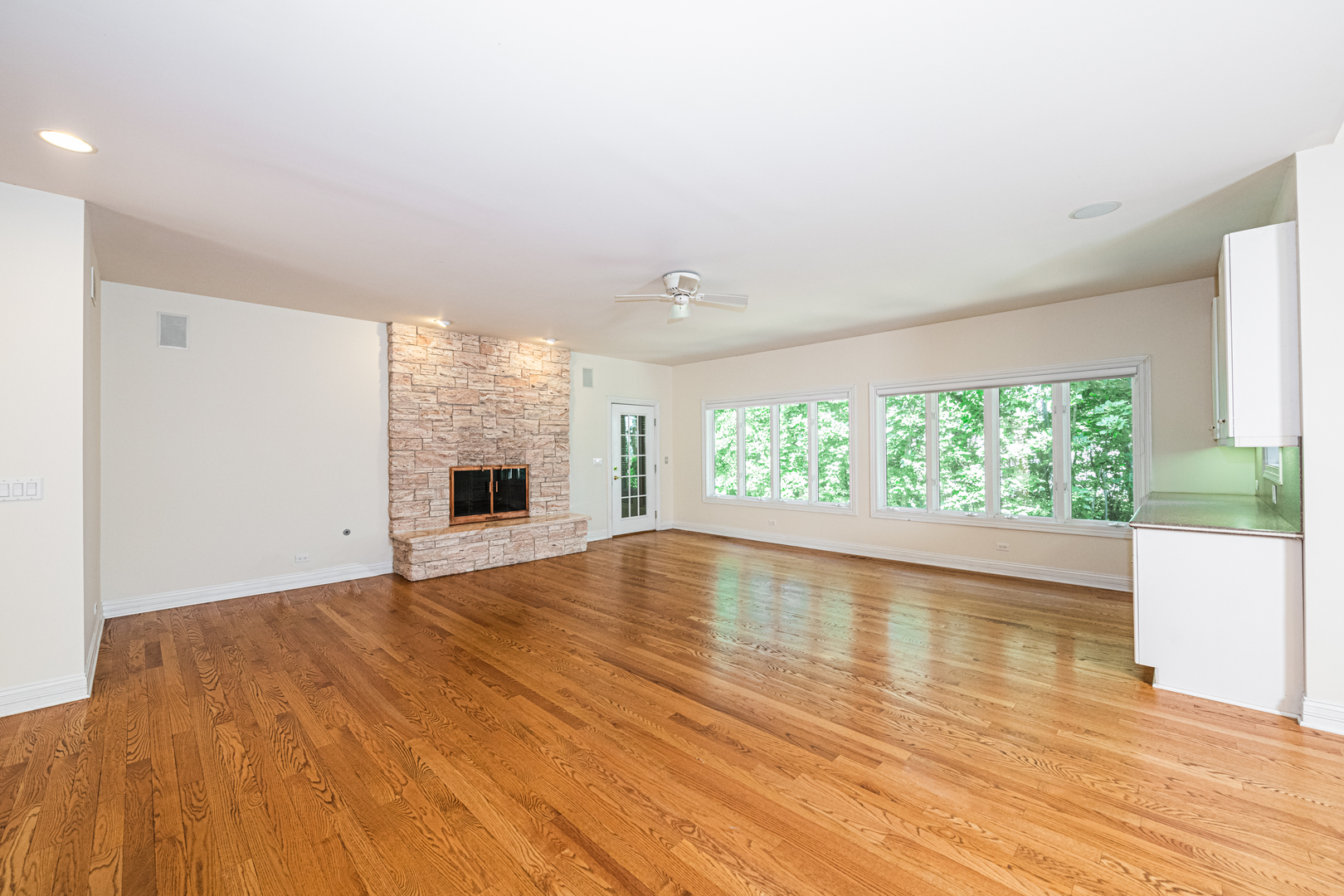 1071 Bonner Road Wauconda, IL 60084 - Photo 19 of 61 an empty room with wooden floor and a fireplace