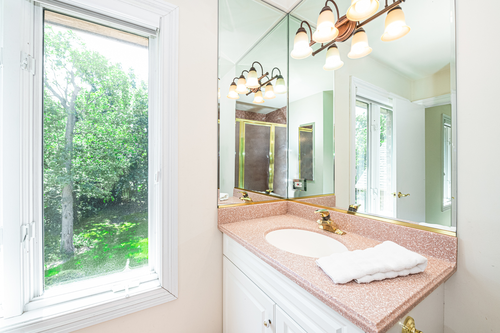 1071 Bonner Road Wauconda, IL 60084 - Photo 38 of 61 a bathroom with a granite countertop sink mirror and a window