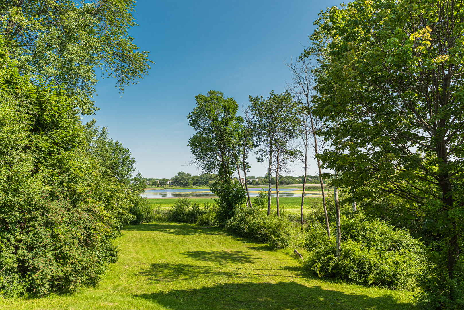 1071 Bonner Road Wauconda, IL 60084 - Photo 56 of 61 a view of a big yard with plants and a large tree
