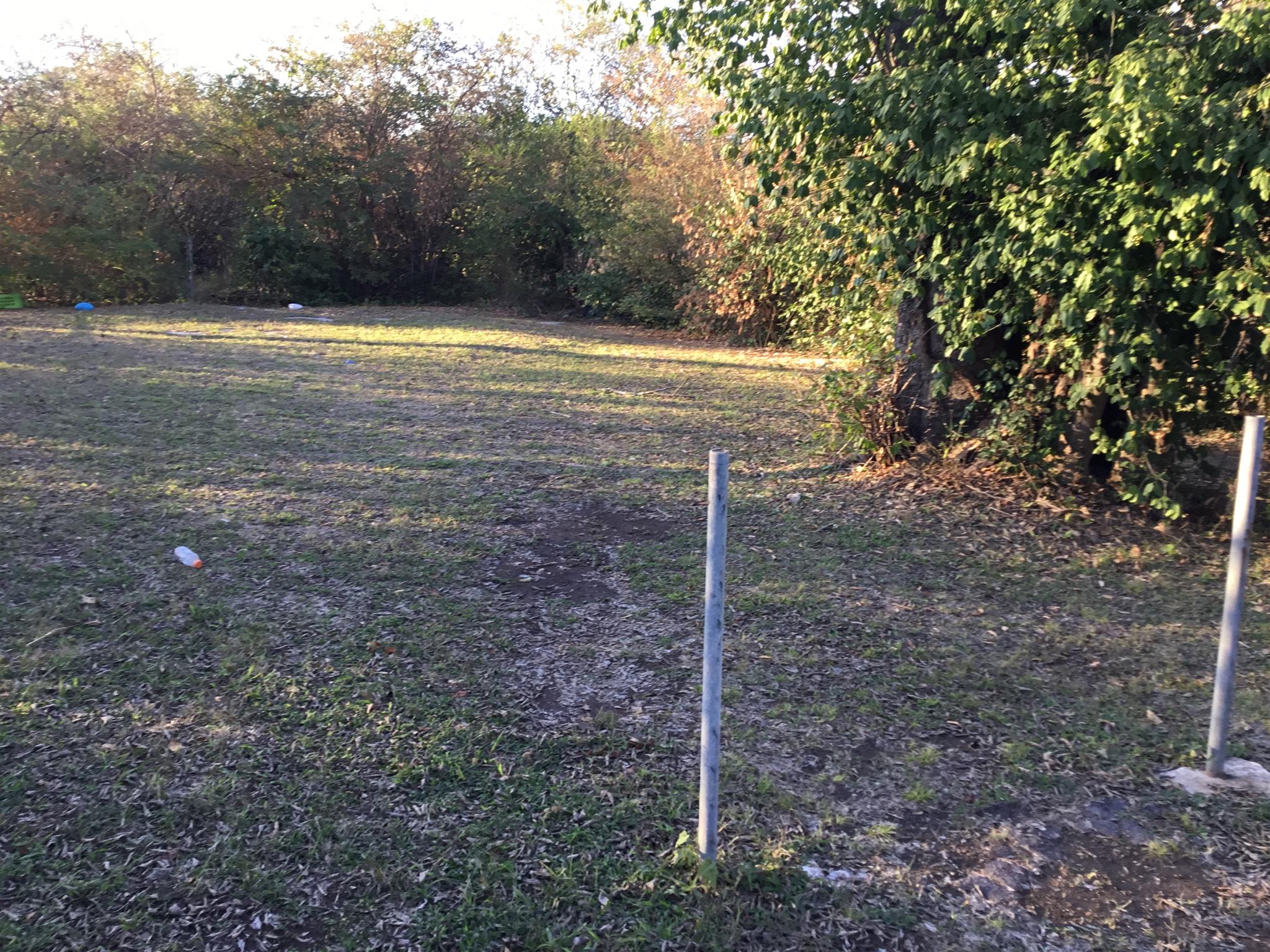 1809 South Hamilton Road Nashville, TN 37218 - Photo 12 of 15 a view of a room with a tree
