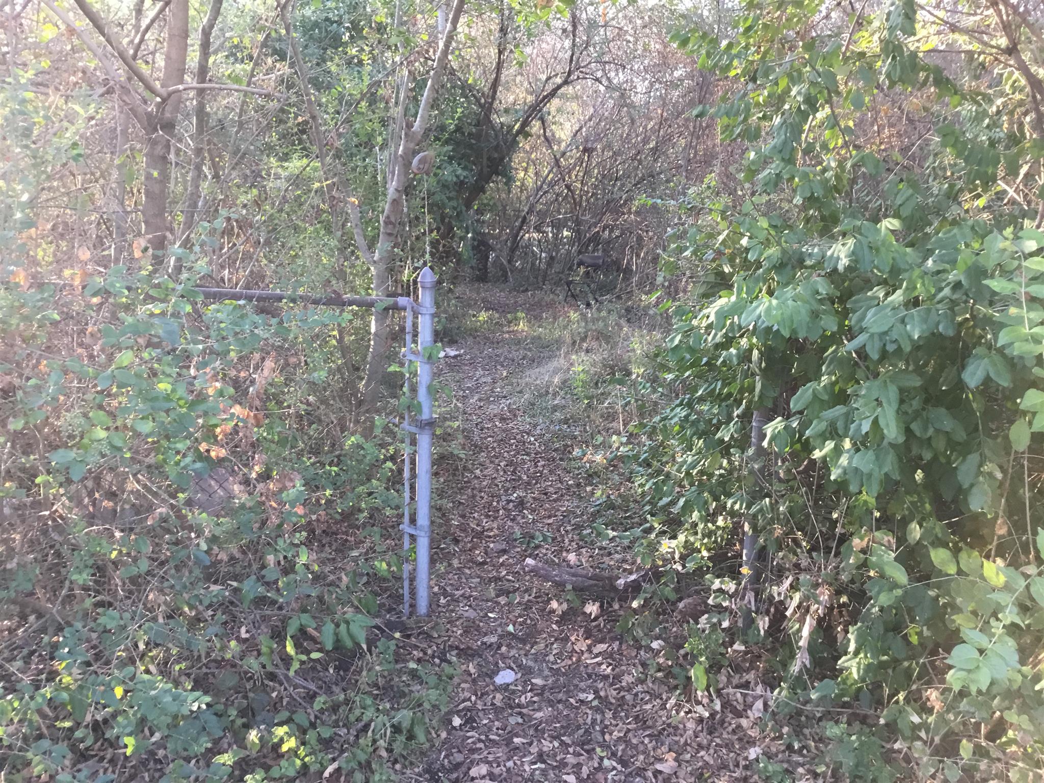 1809 South Hamilton Road Nashville, TN 37218 - Photo 13 of 15 a backyard of a house with lots of green space