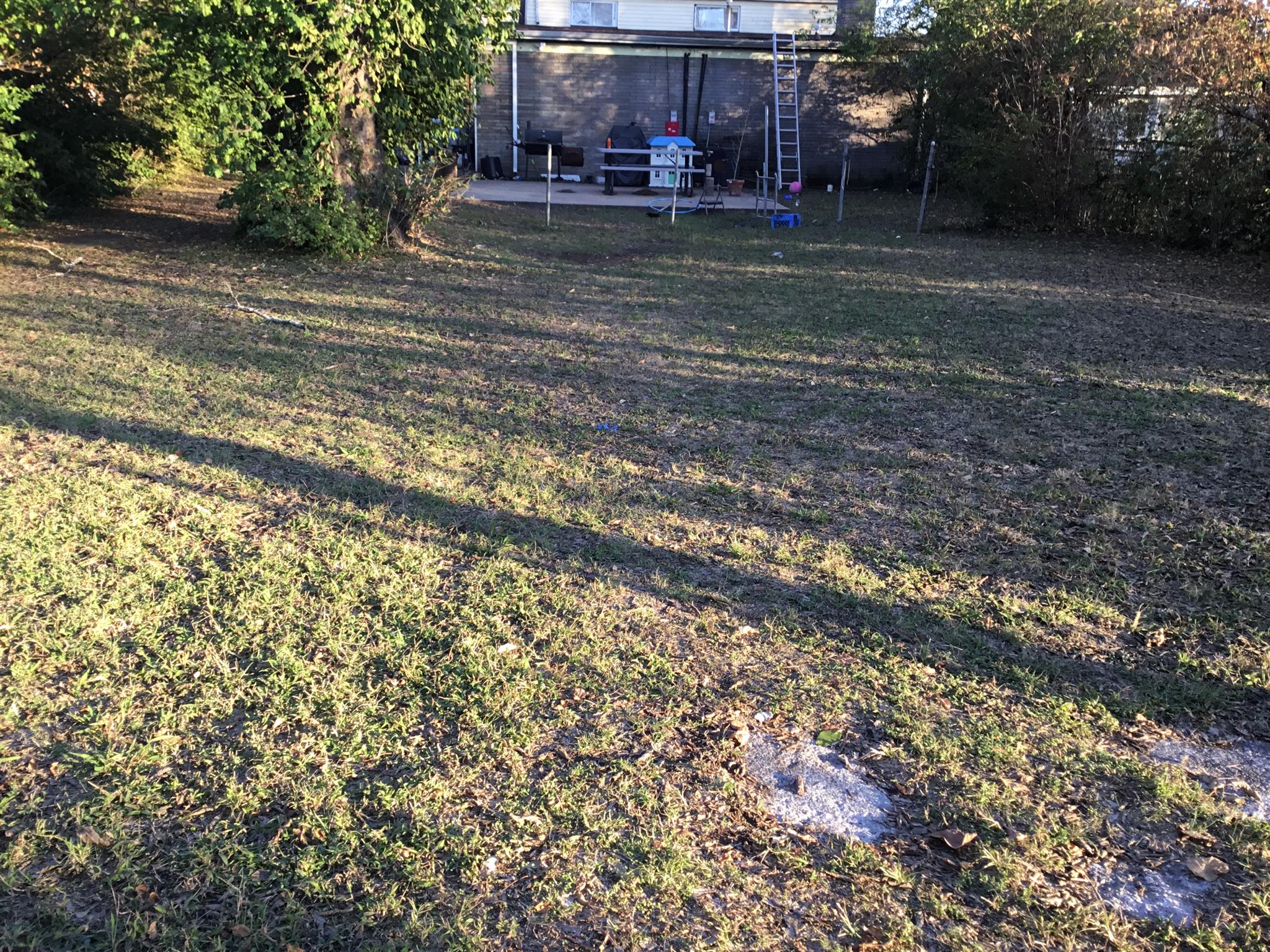 1809 South Hamilton Road Nashville, TN 37218 - Photo 14 of 15 a view of a yard with a tree