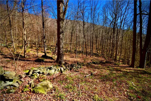 $184,000 | 339 Mountain Lake Road, Andes, NY 13731