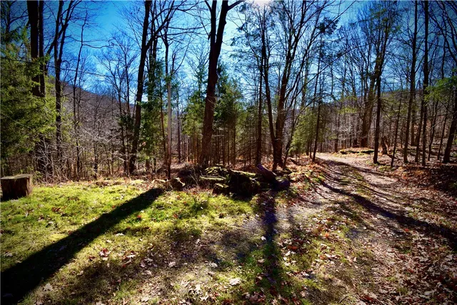 $184,000 | 339 Mountain Lake Road, Andes, NY 13731