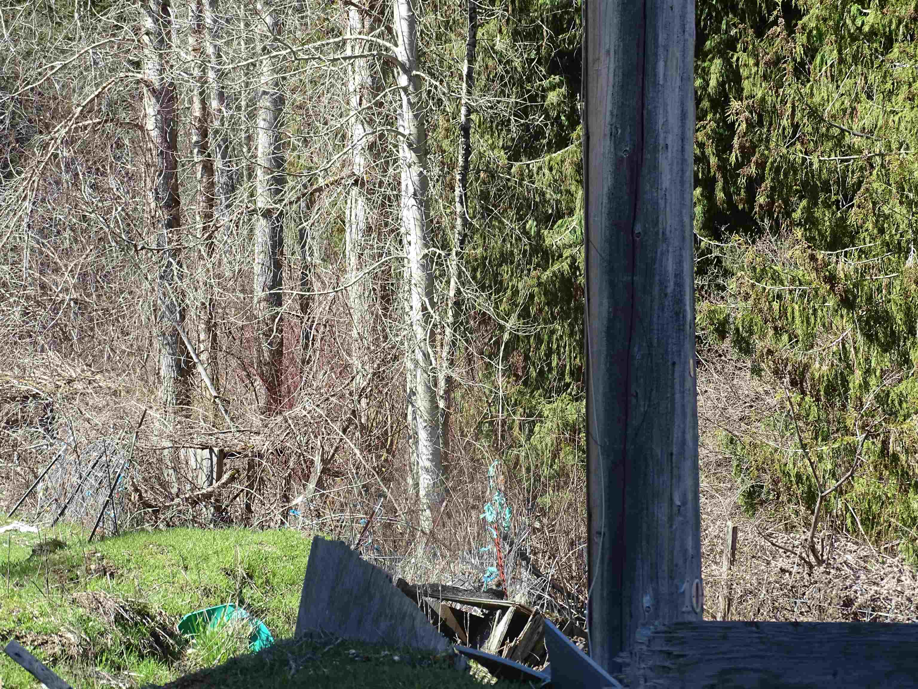 17208 East Blanchard Road Elk, WA 99009 - Photo 23 of 28