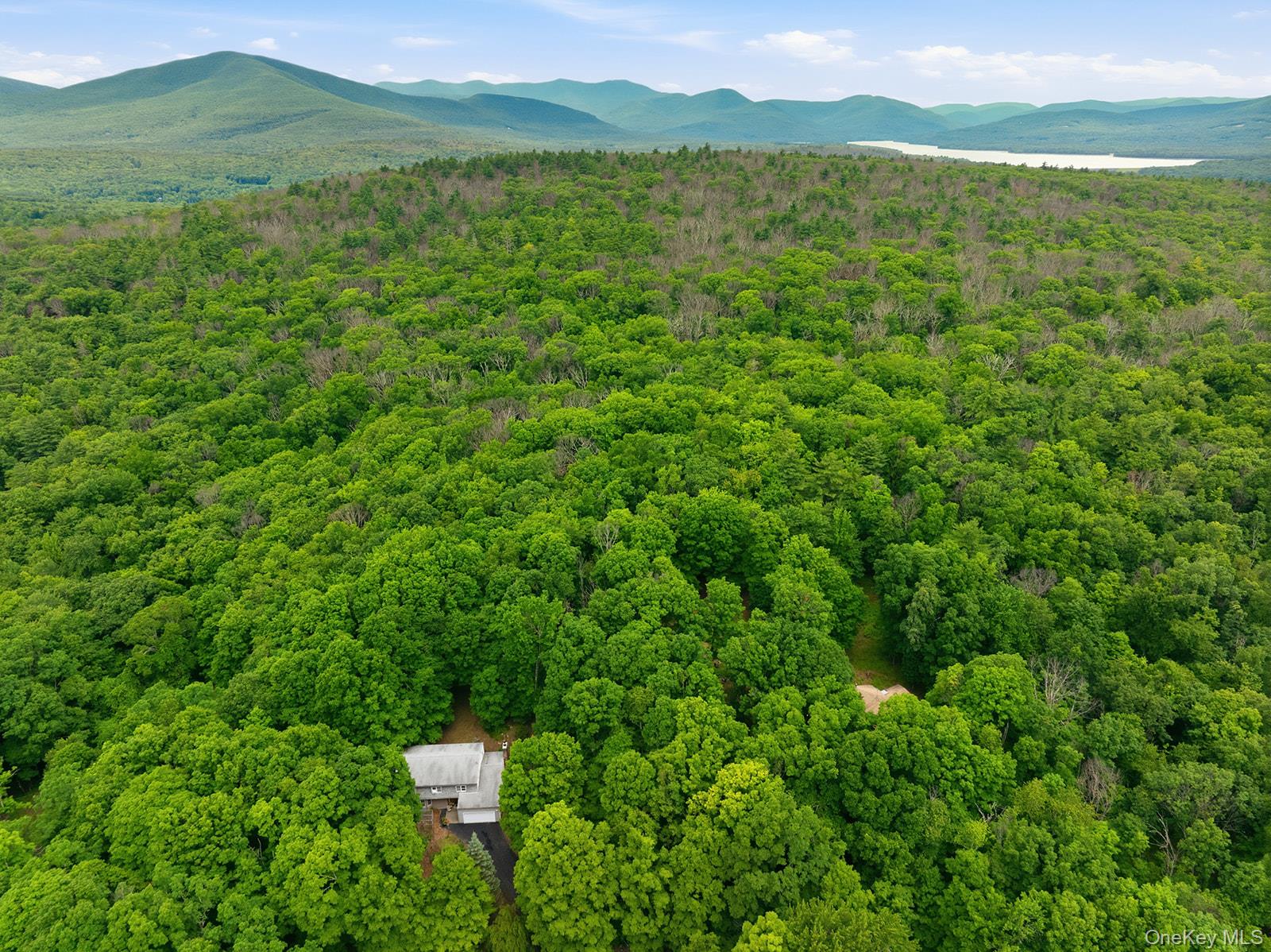 252 Vly Atwood Road Stone Ridge, NY 12484 - Photo 40 of 43 Aerial showing Catskill Mountains and Ashokan Reservoir