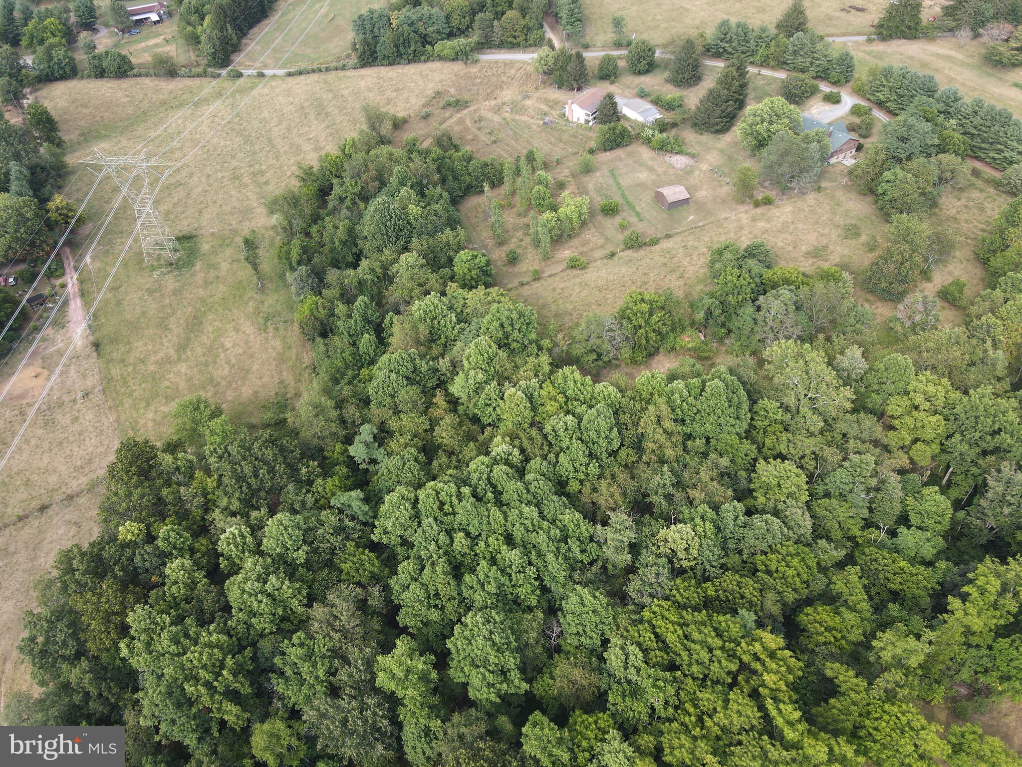 928 Ruppenthal Road Berkeley Springs, WV 25411 - Photo 37 of 67