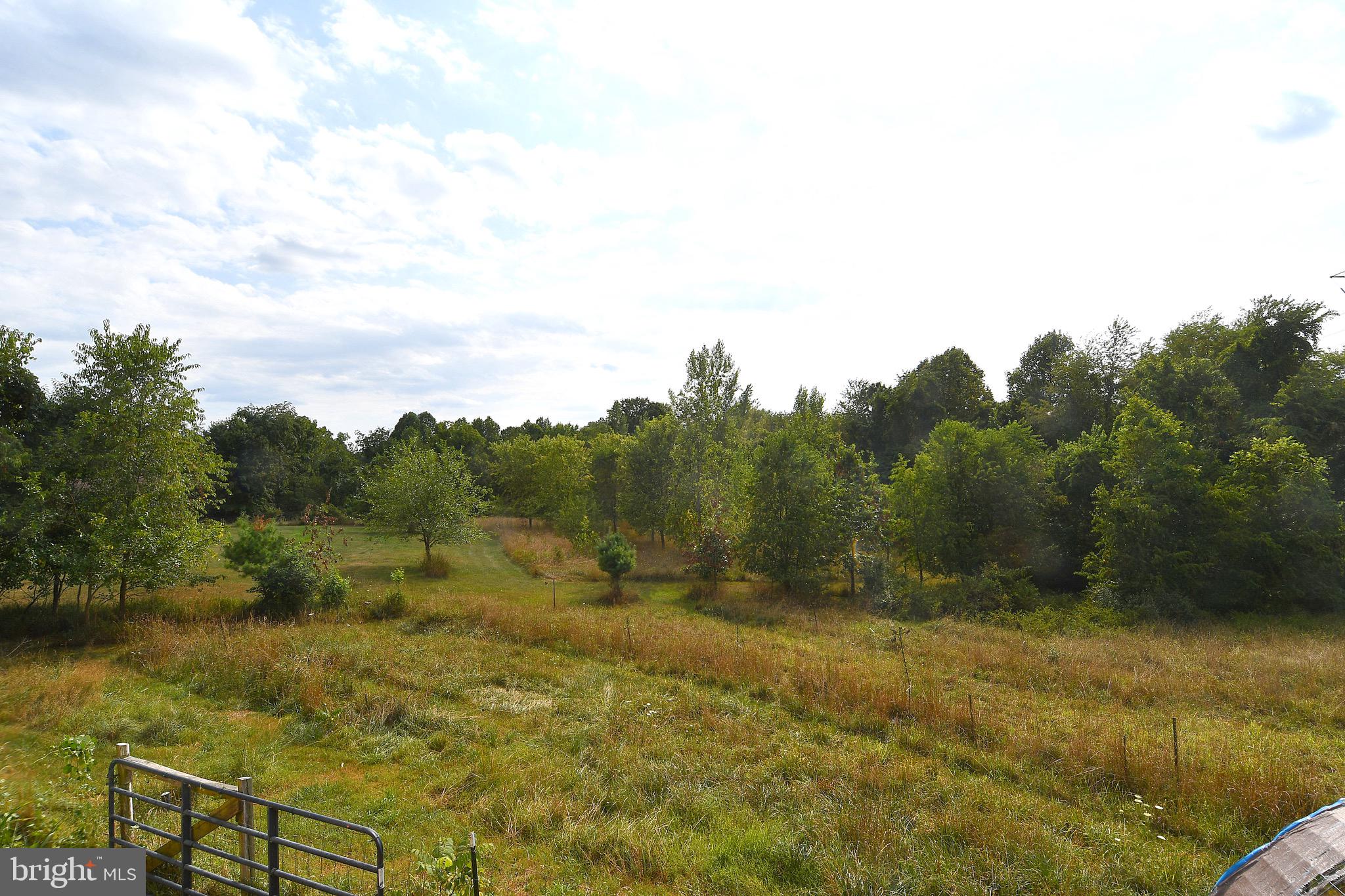 928 Ruppenthal Road Berkeley Springs, WV 25411 - Photo 66 of 67