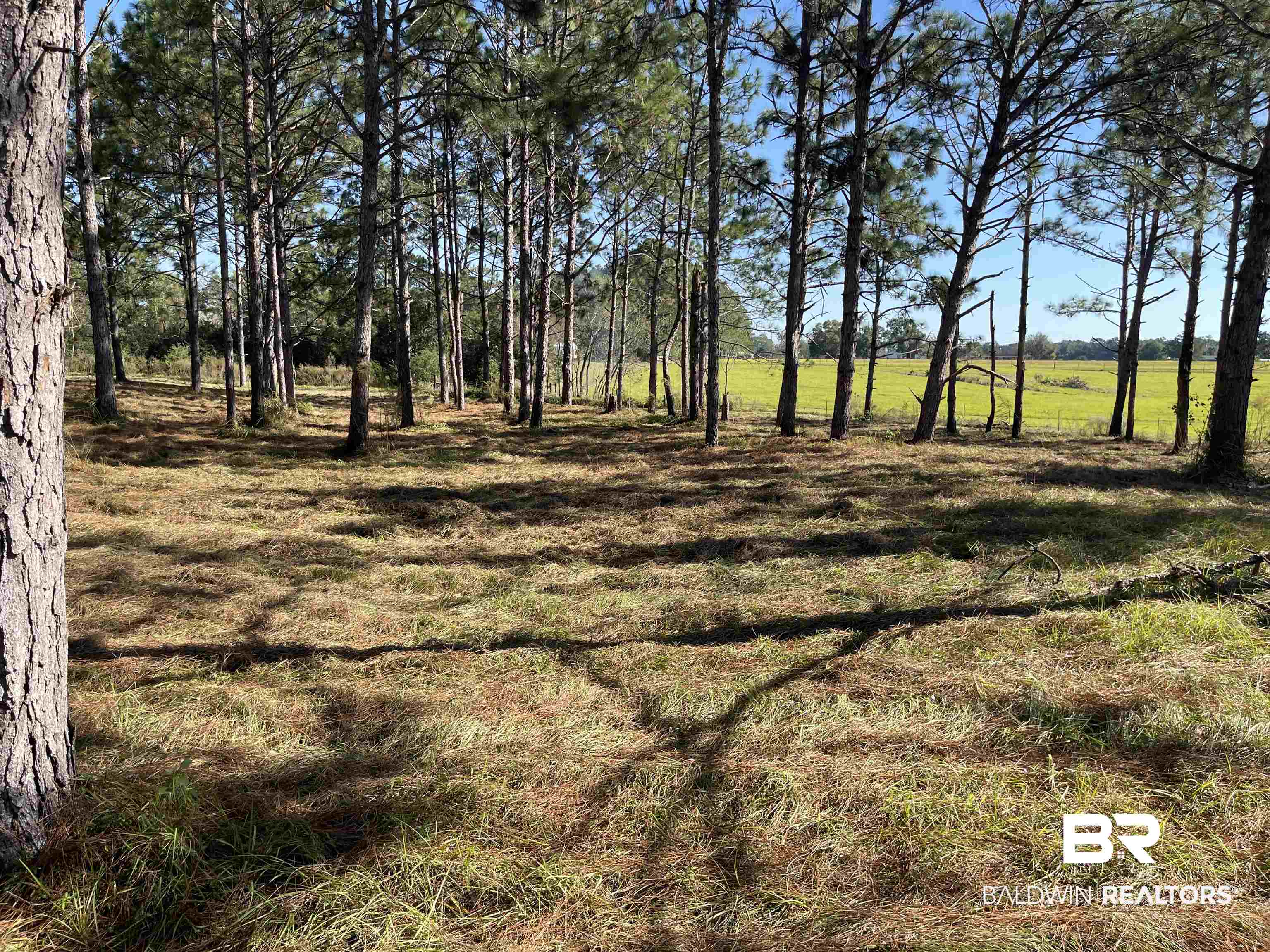 0 Fackler Road Loxley, AL 36551 - Photo 3 of 11 View of landscape