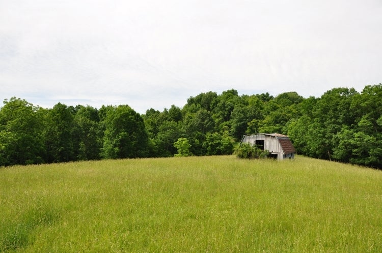 120 Fullen Road Union, WV 24983 - Photo 2 of 31 High Meadows 02