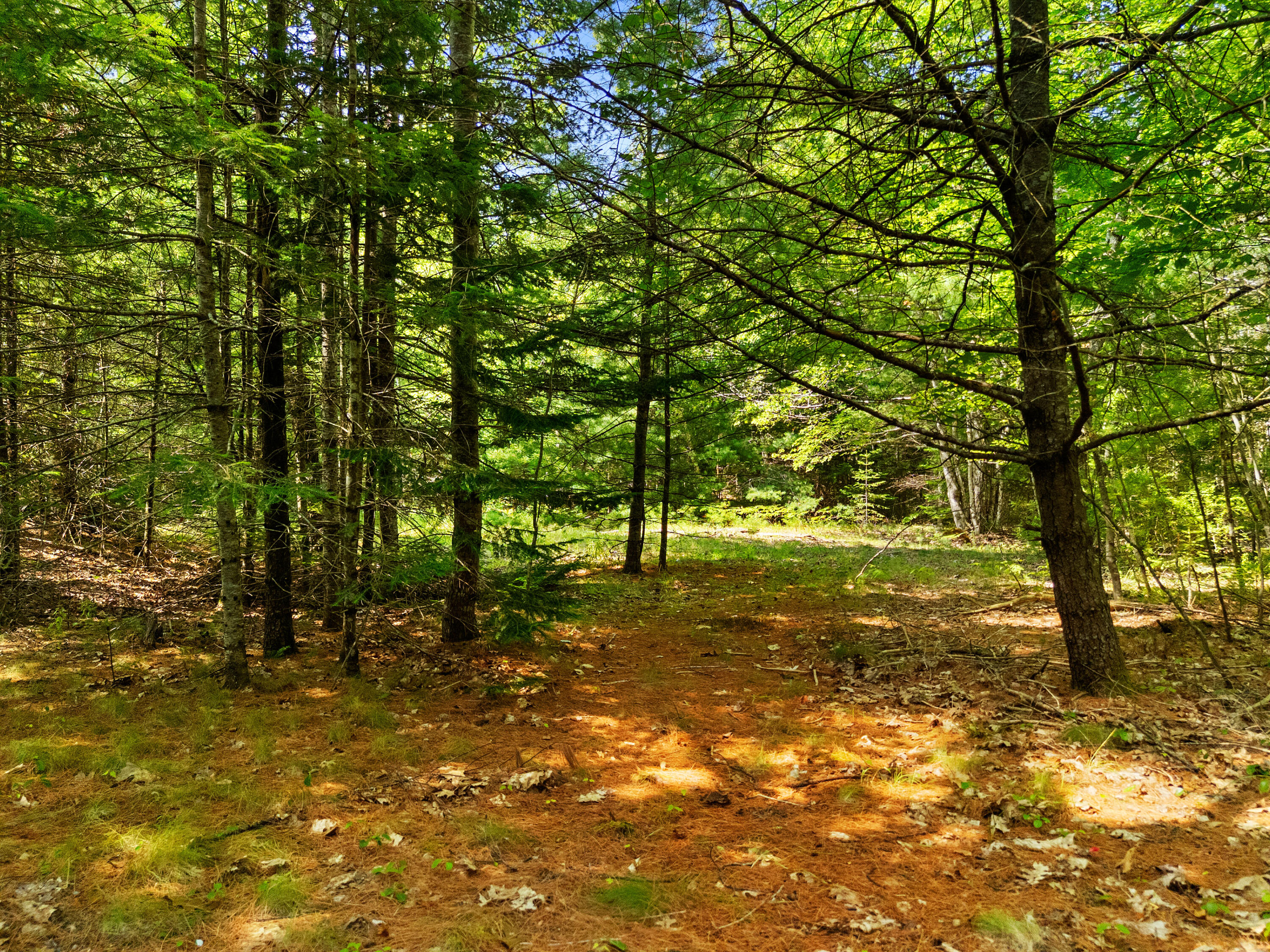 M31-l37 North Cobbtown Road Lincolnville, ME 04849 - Photo 12 of 20 DJI_20250811112833_0599_D