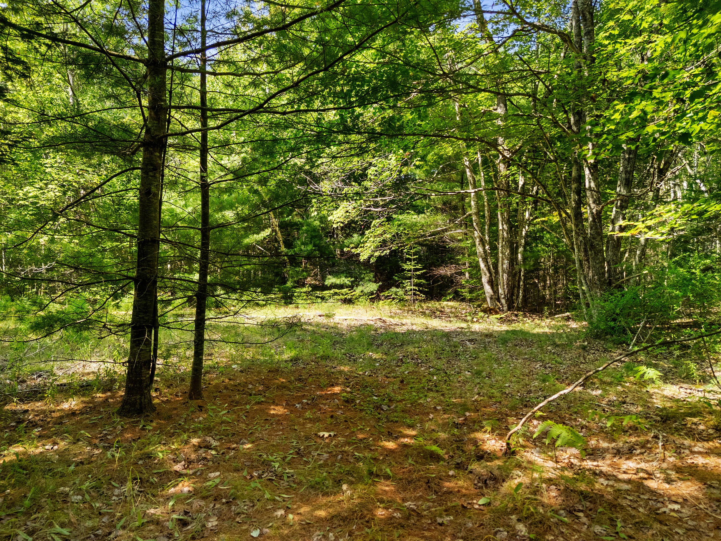 M31-l37 North Cobbtown Road Lincolnville, ME 04849 - Photo 13 of 20 DJI_20250811112856_0609_D