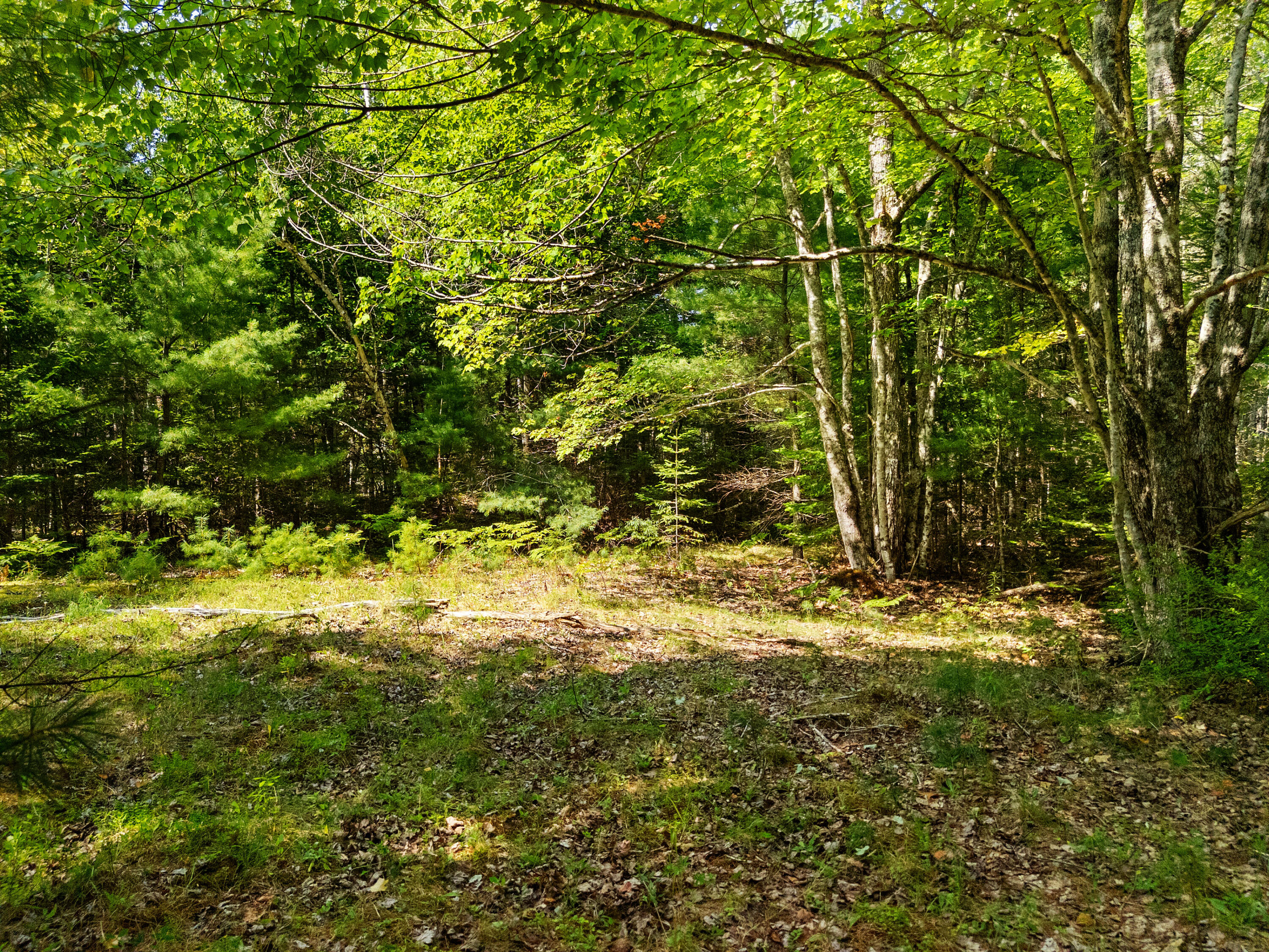 M31-l37 North Cobbtown Road Lincolnville, ME 04849 - Photo 14 of 20 DJI_20250811112903_0610_D