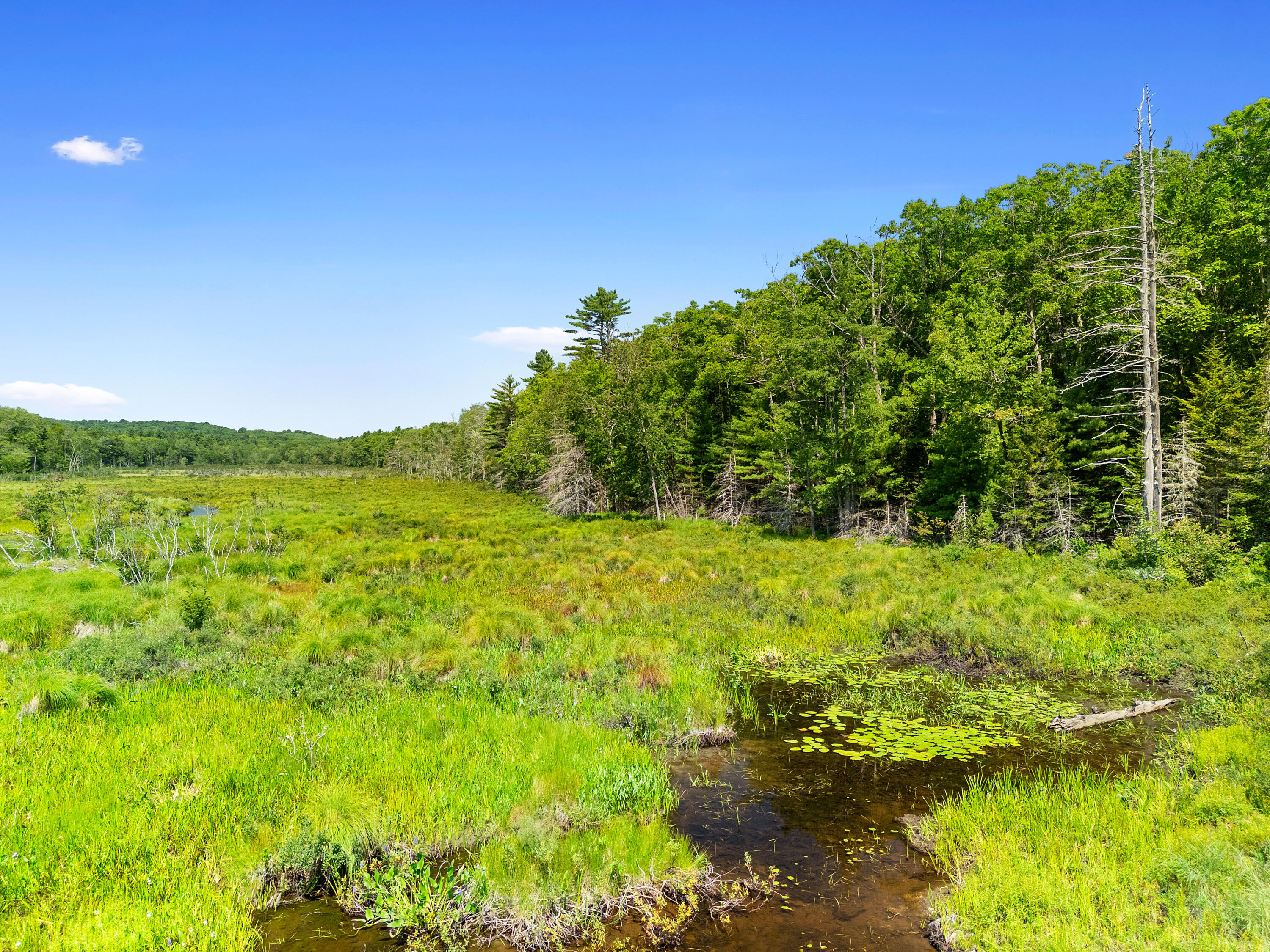 M31-l37 North Cobbtown Road Lincolnville, ME 04849 - Photo 16 of 20 DJI_20250811114759_0634_D