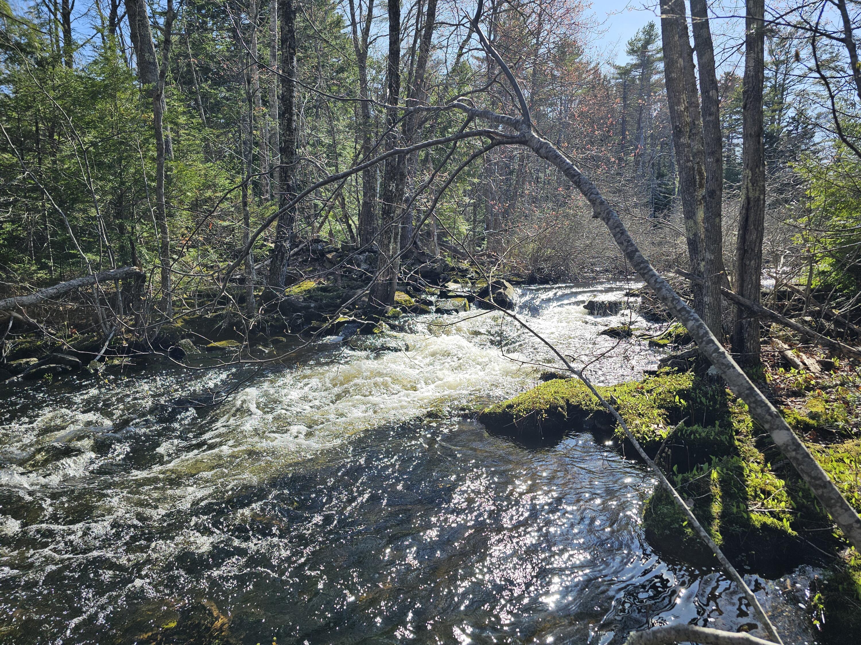 M31-l37 North Cobbtown Road Lincolnville, ME 04849 - Photo 20 of 20 20250501_160146
