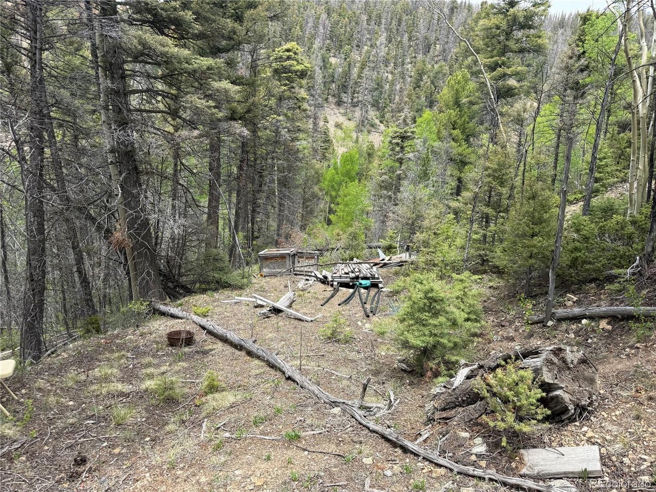 6795 Starkweather Road San Luis, CO 81152 - Photo 7 of 23 a view of a forest with trees