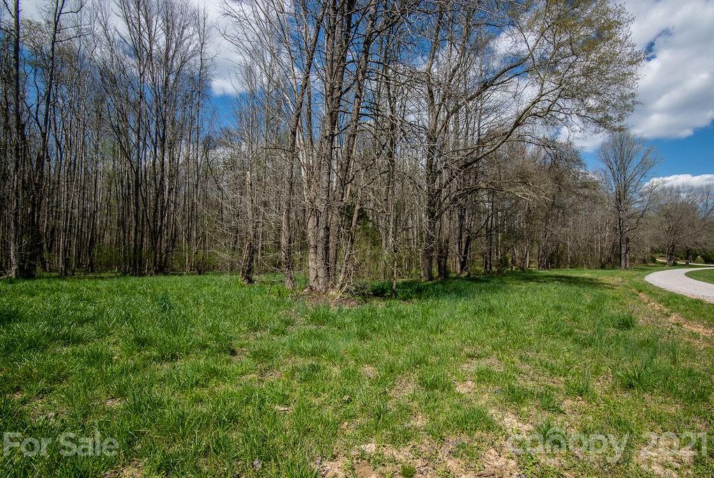 1791 Westbrook Road Edgemoor, SC 29712 - Photo 40 of 45 a view of backyard with large trees