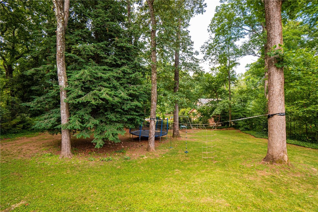 233 Riggs Drive Clemson, SC 29631 - Photo 36 of 39 Gallery Image 36