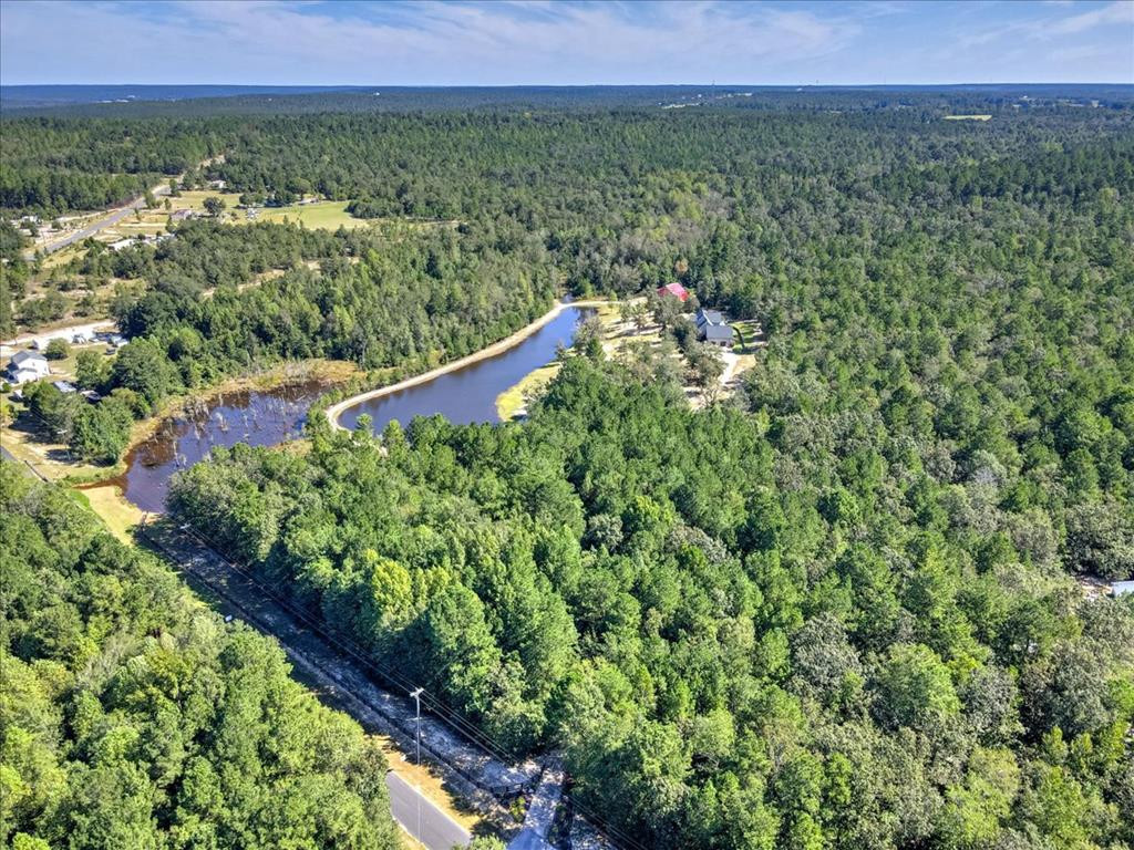 212 Kedron Church Road Aiken, SC 29805 - Photo 60 of 63