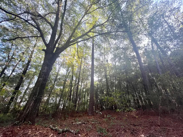 $59,000 | 0 Francesca Drive, Girard, GA 30426