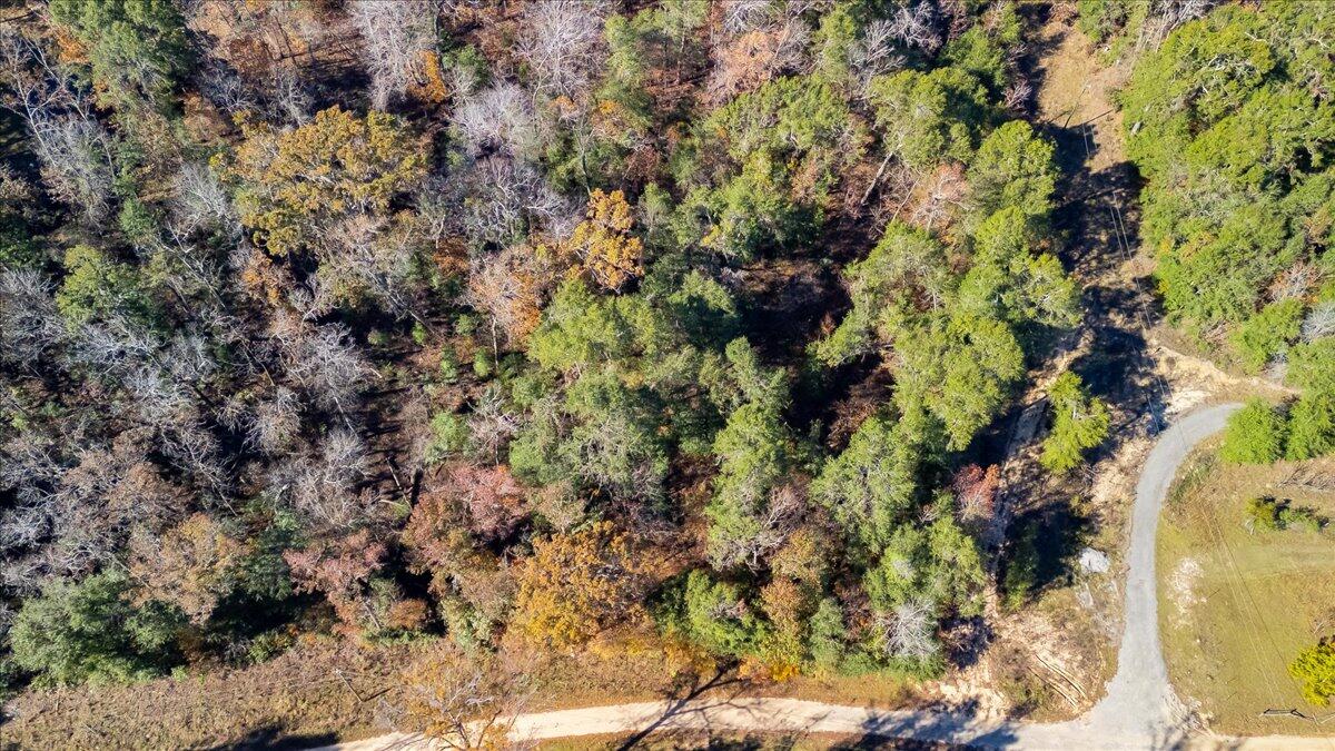 0 Francesca Drive Girard, GA 30426 - Photo 3 of 15 03-003-