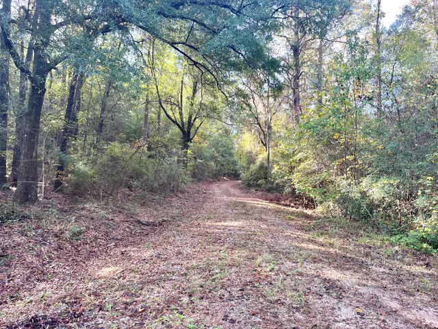 $59,000 | 0 Francesca Drive, Girard, GA 30426