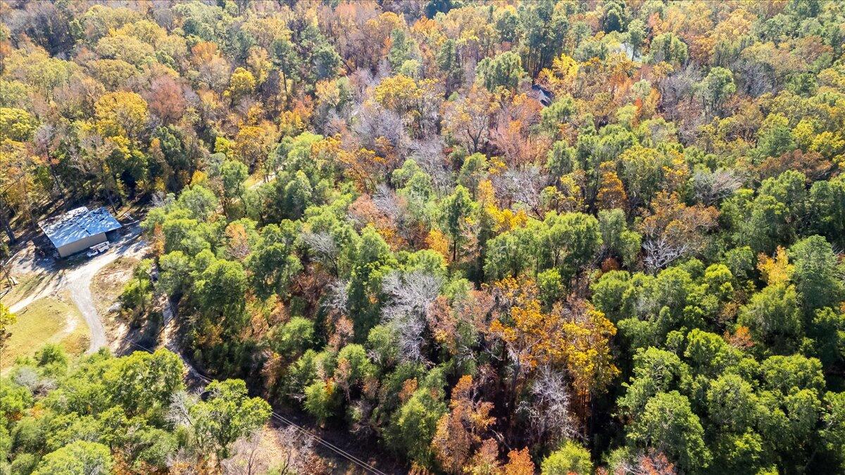 0 Francesca Drive Girard, GA 30426 - Photo 6 of 15 05-005-