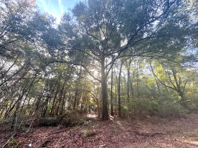 $59,000 | 0 Francesca Drive, Girard, GA 30426