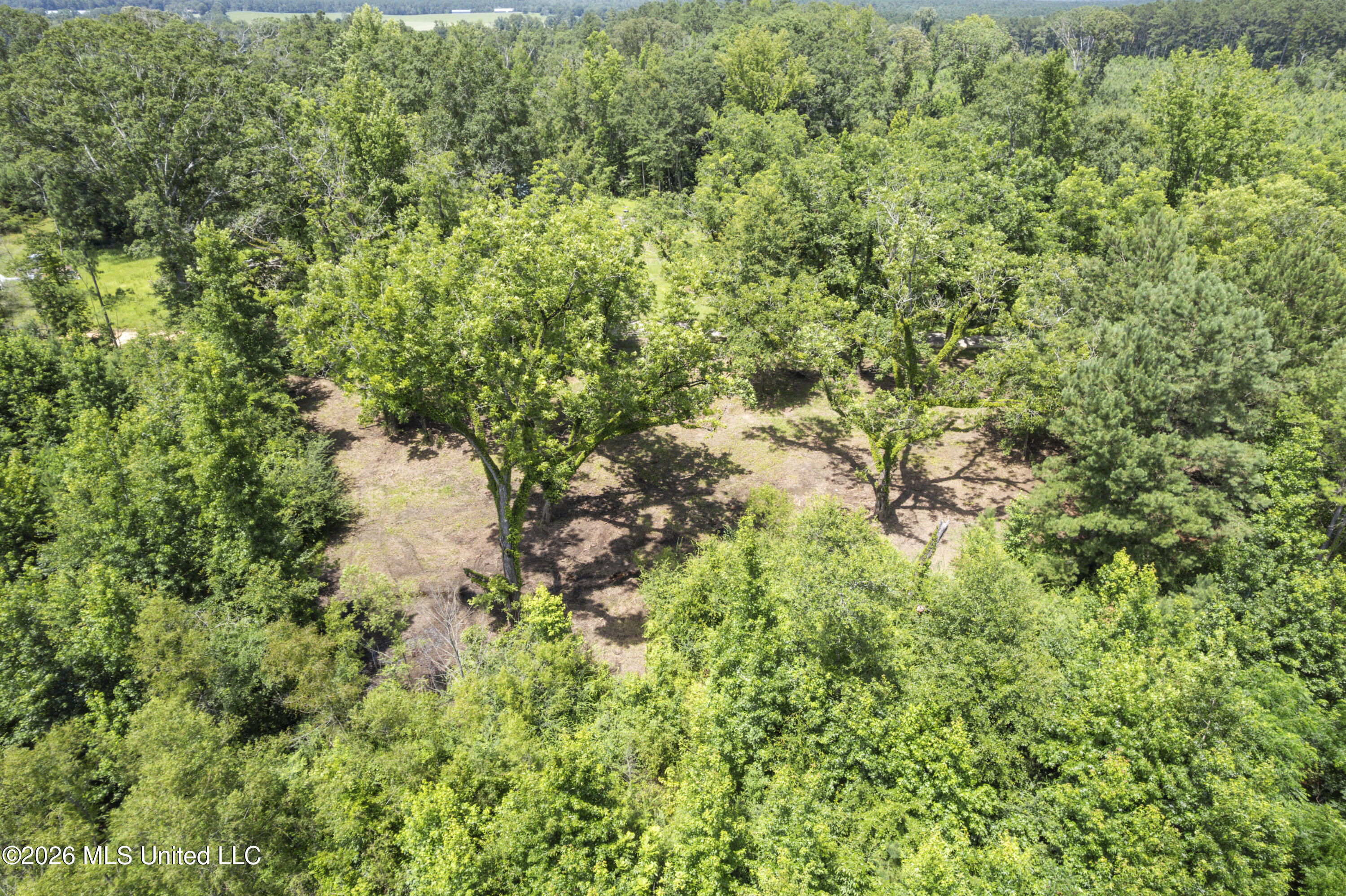 13 Co Road Louin, MS 39338 - Photo 15 of 29 DJI_0330