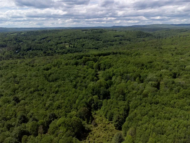 a view of a green field with lots of bushes