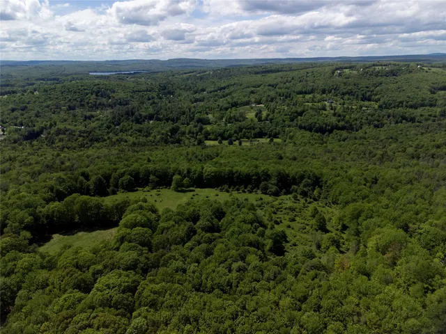 a view of a green field with lots of plants in it