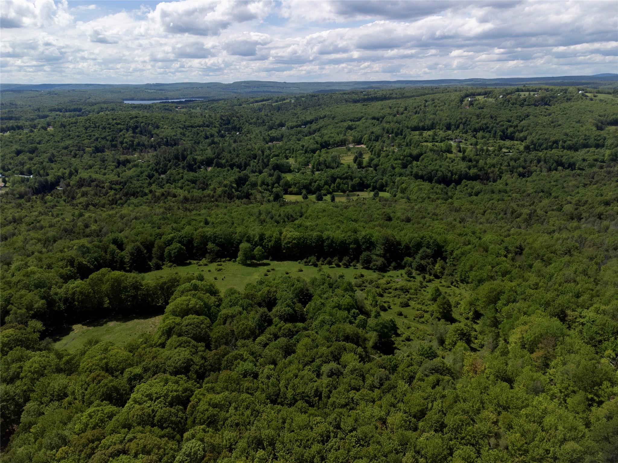 650 Thunder Hill Road Neversink, NY 12788 - Photo 12 of 37 a view of a green field with lots of plants in it