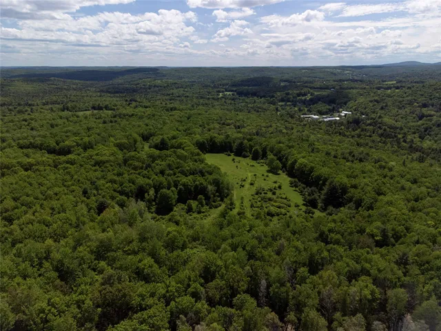a view of a city with lush green forest