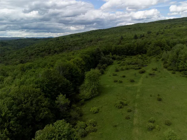 a view of a green field with lots of bushes