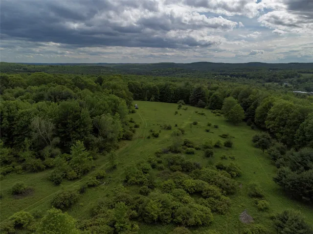 a view of a field of grass and trees
