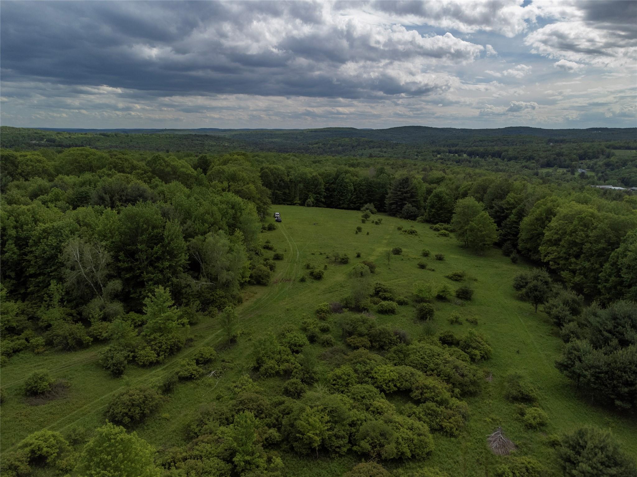 650 Thunder Hill Road Neversink, NY 12788 - Photo 17 of 37 a view of a field of grass and trees