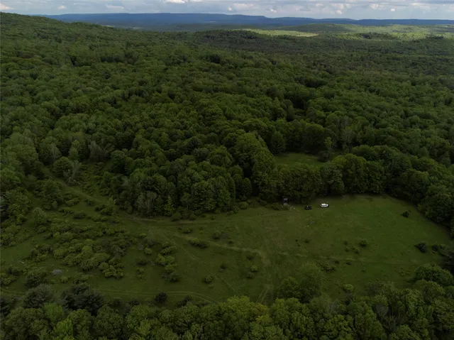 a view of a field of grass and trees