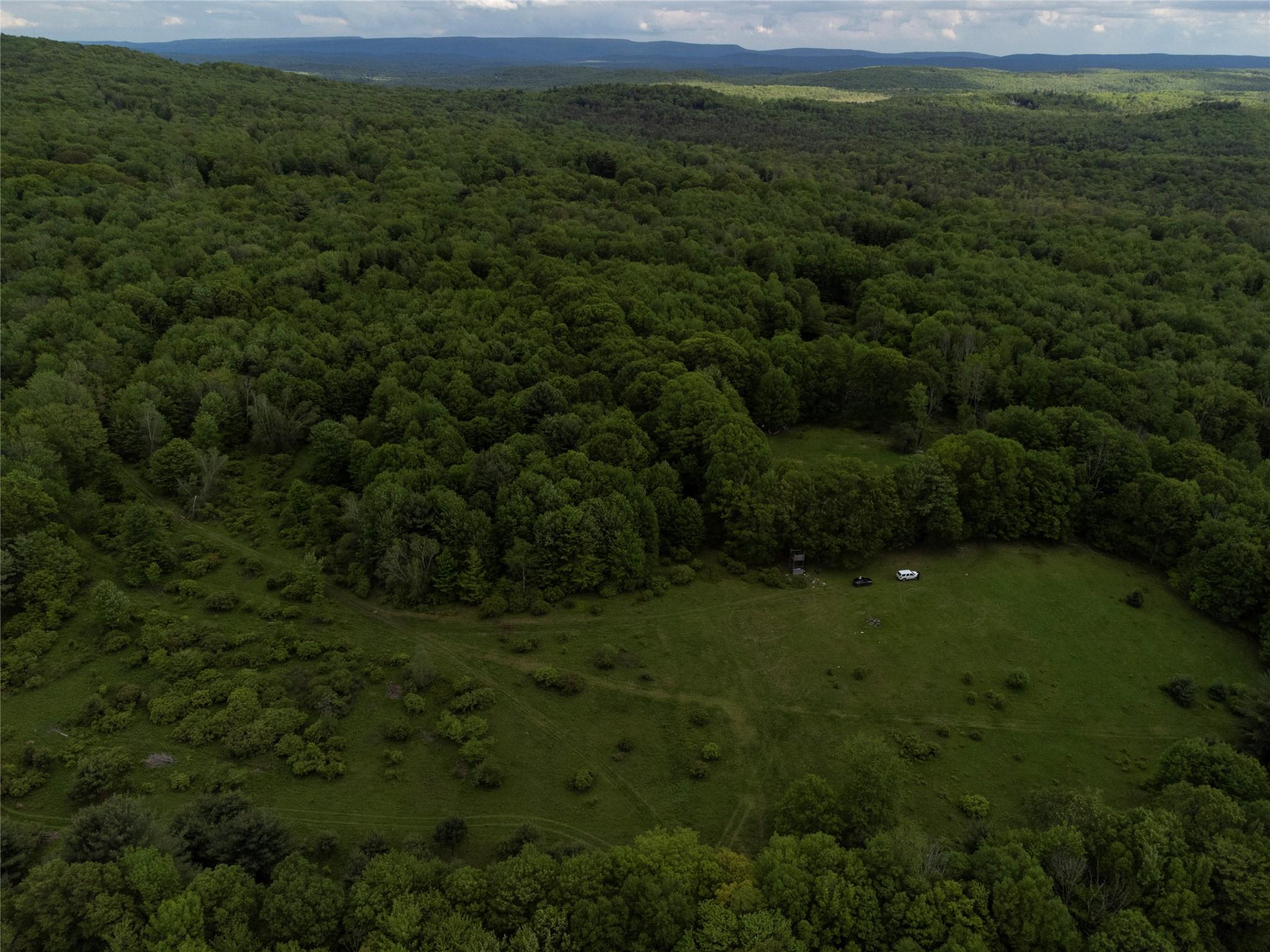 650 Thunder Hill Road Neversink, NY 12788 - Photo 18 of 37 a view of a field of grass and trees