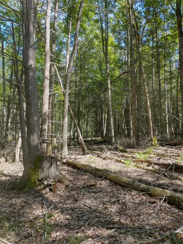 a view of a out door space area