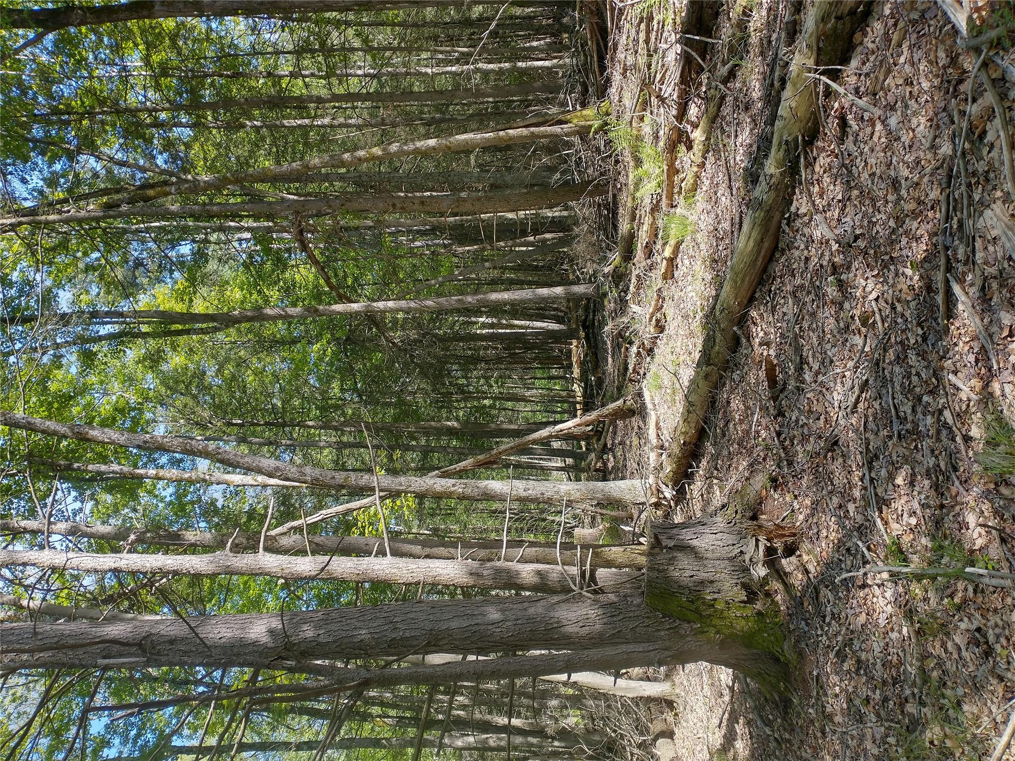 650 Thunder Hill Road Neversink, NY 12788 - Photo 19 of 37 a view of a out door space area