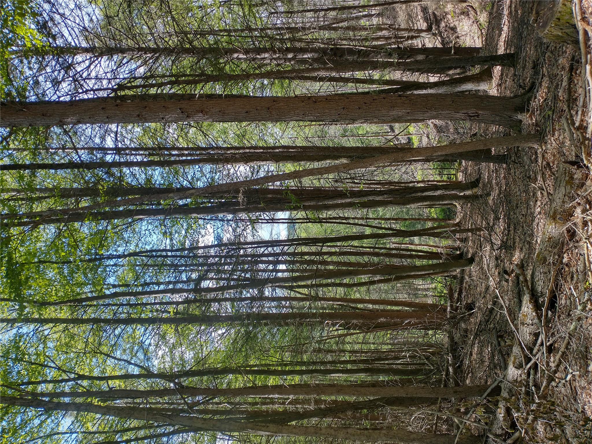 650 Thunder Hill Road Neversink, NY 12788 - Photo 20 of 37