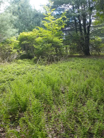 a backyard of a house with lots of green space and fountain view