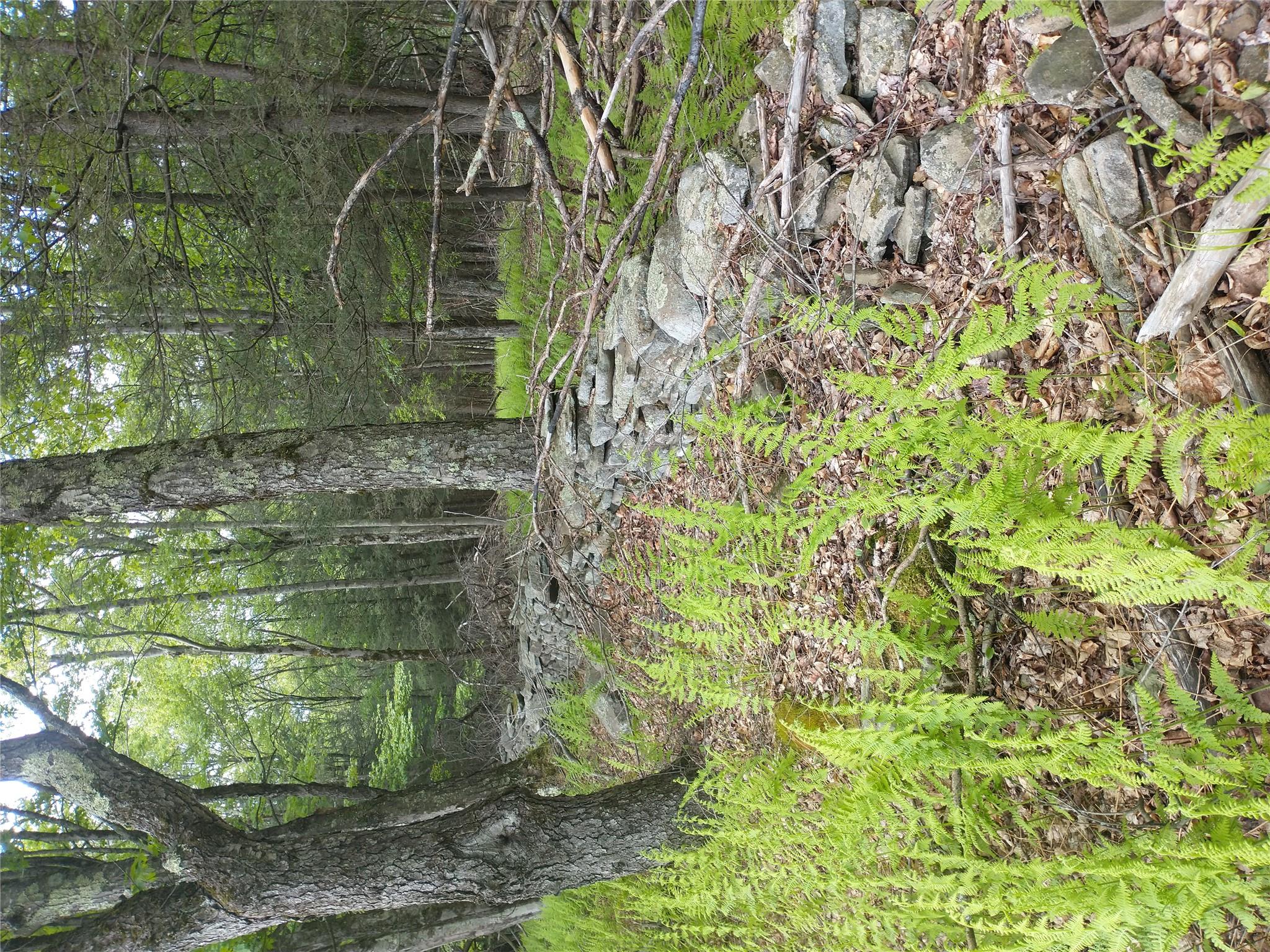 650 Thunder Hill Road Neversink, NY 12788 - Photo 25 of 37 a backyard of a house with lots of green space and fountain view