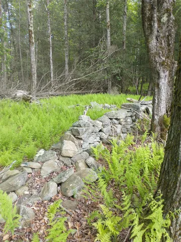 a view of a field of grass and trees
